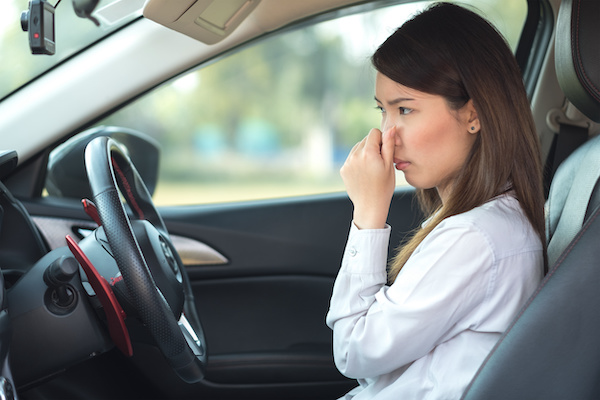 Why Are My Car Vents Blowing Smelly Air?